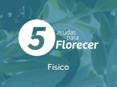 Cinco ayudas para florecer Fisico: Julio 2025