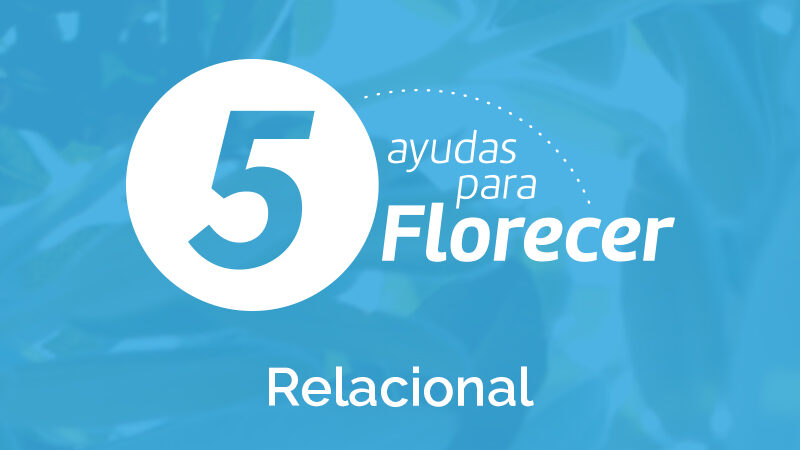 Cinco ayudas para florecer Relacional: Agosto 2025