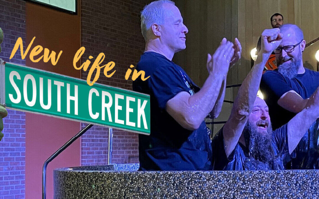 New life in South Creek