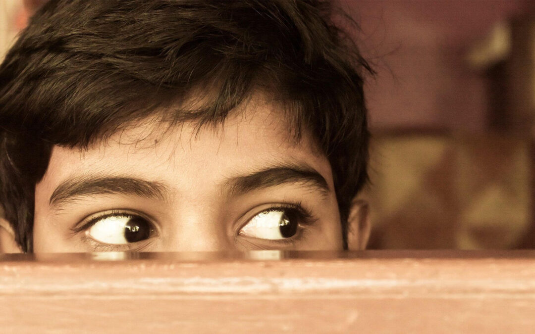 Little eyes are watching