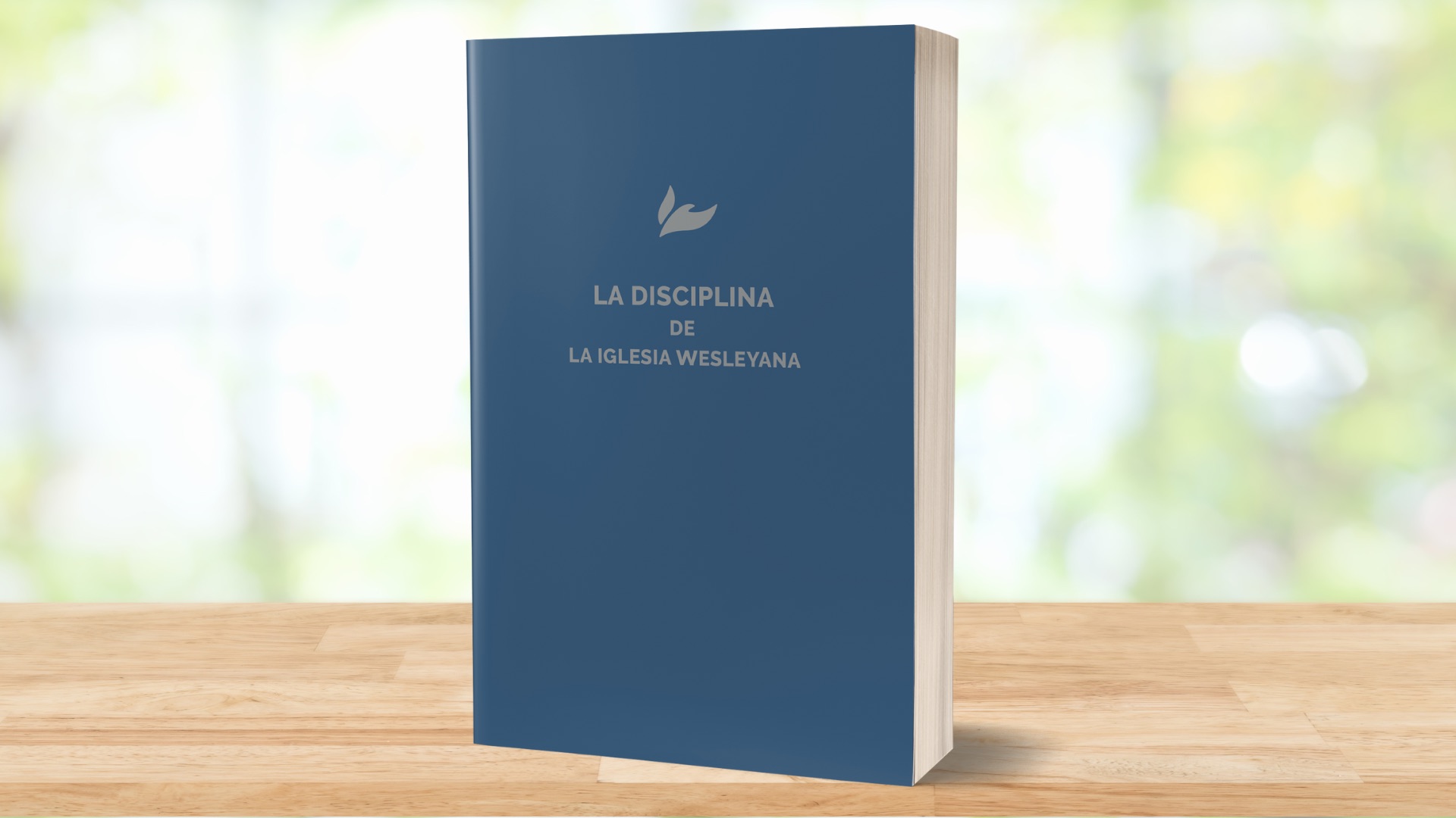 La nueva “Disciplina” en español