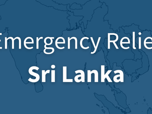 Cyclone Ditwah’s destruction